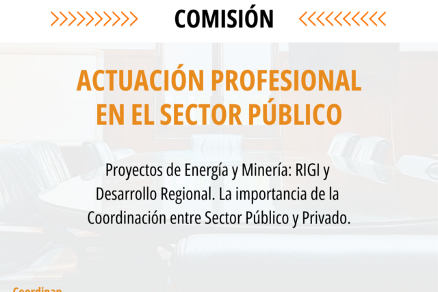 Actuación Profesional en el Sector Público