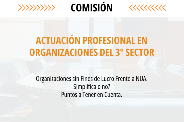 Actuación Profesional en Organizaciones del 3er Sector