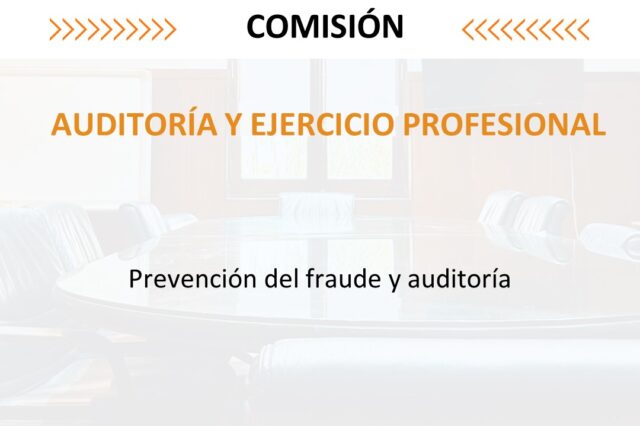 Auditoria y Ejercicio Profesional