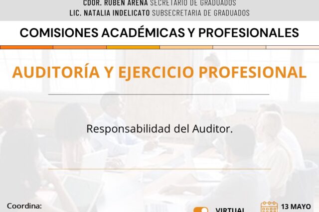 Auditoria y Ejercicio Profesional