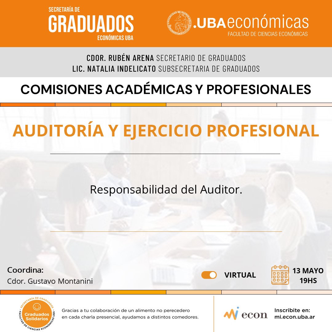 Auditoria y Ejercicio Profesional