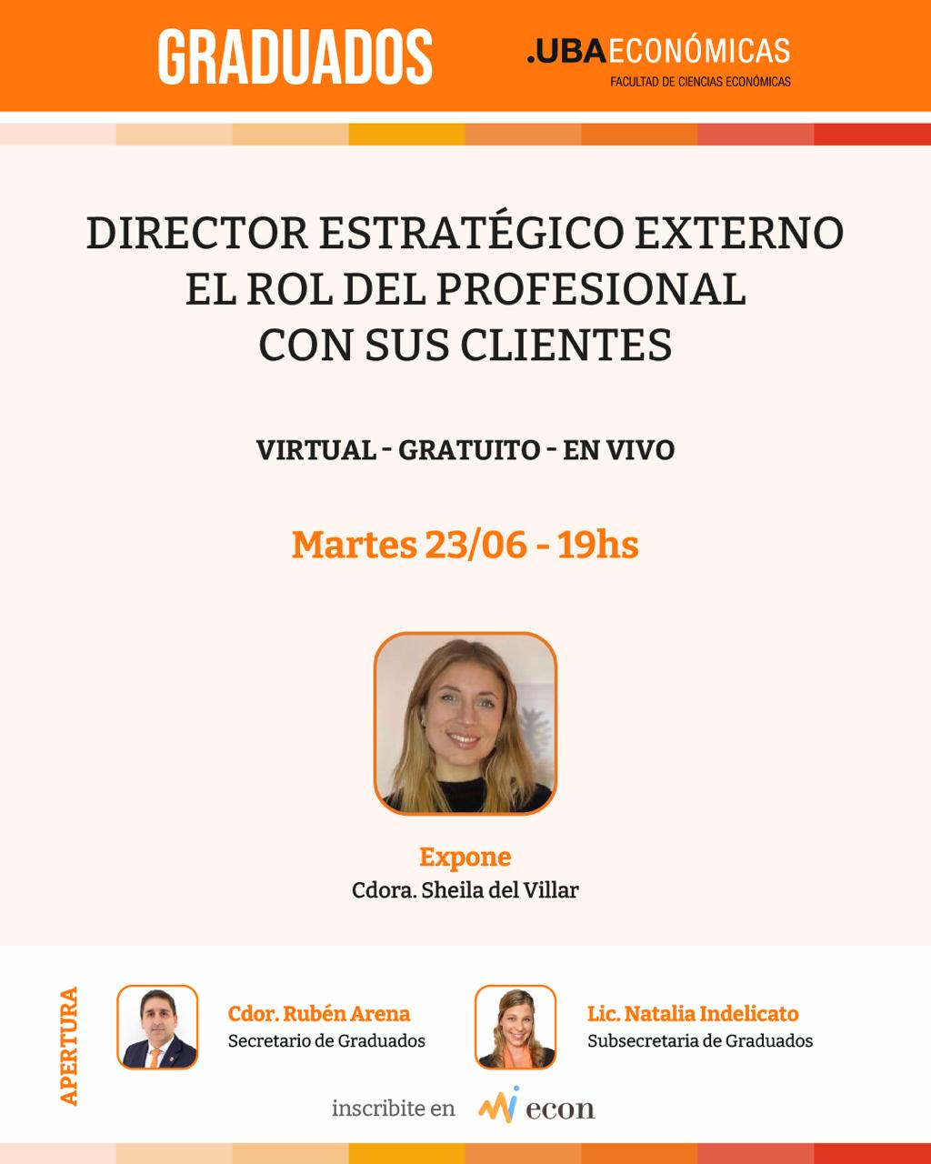 Director Estratégico Externo. El Rol del Profesional con sus Clientes.