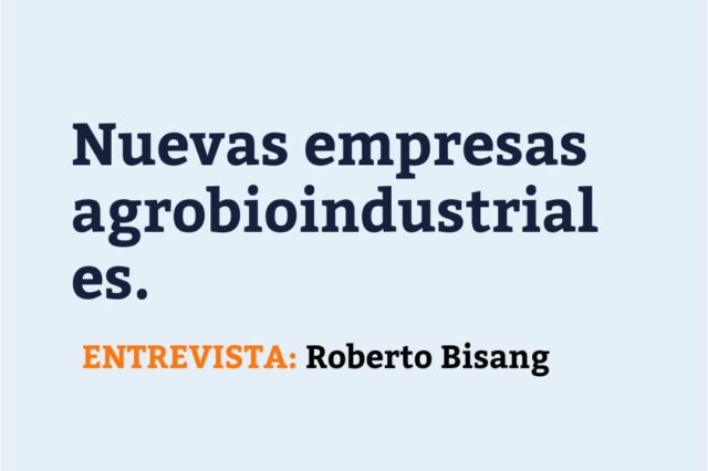 Entrevista
